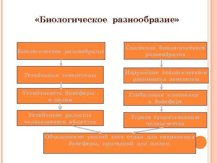  «Биологическое разнообразие» Биологическое разнообразие Снижение биологического разнообразия Устойчивые экосистемы Нарушение экологического равновесия экосистем