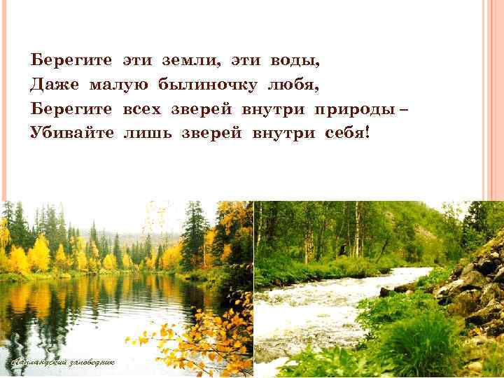 Берегите эти земли, эти воды, Даже малую былиночку любя, Берегите всех зверей внутри природы