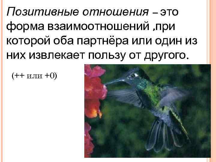 Позитивные отношения – это форма взаимоотношений , при которой оба партнёра или один из