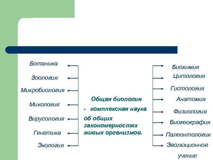 Ботаника Биохимия Цитология Зоология Гистология Микробиология Микология Вирусология Генетика Экология Общая биология Анатомия -