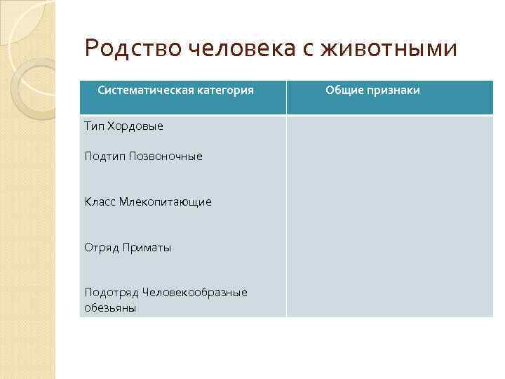 Родство человека с животными Систематическая категория Тип Хордовые Подтип Позвоночные Класс Млекопитающие Отряд Приматы