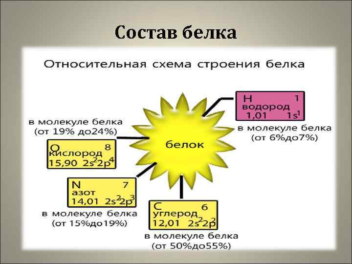 Состав белка 
