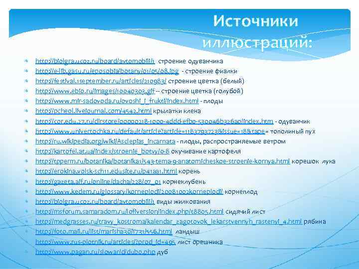 Источники иллюстраций: http: //biolgra. ucoz. ru/board/avtomobili/1 строение одуванчика http: //e-lib. gasu. ru/eposobia/botany/01/05/08. jpg -