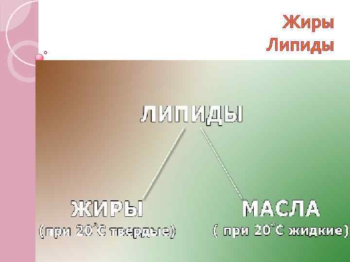 Жиры Липиды 