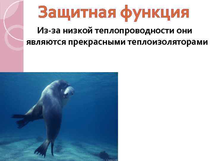 Защитная функция Из-за низкой теплопроводности они являются прекрасными теплоизоляторами 