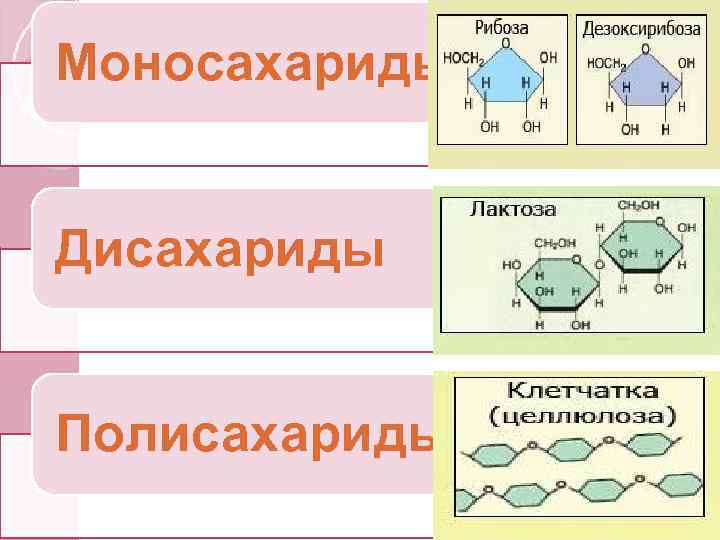 Моносахариды Дисахариды Полисахариды 