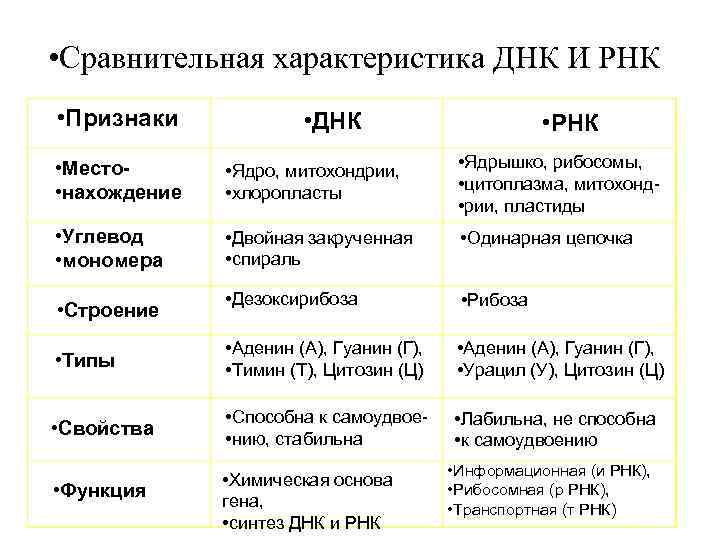  • Сравнительная характеристика ДНК И РНК • Признаки • ДНК • РНК •