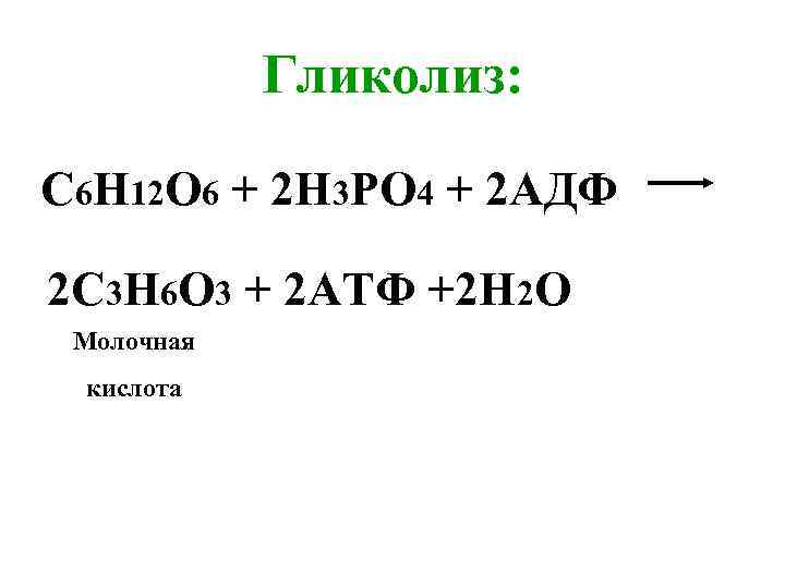 Гликолиз: С 6 Н 12 О 6 + 2 Н 3 РО 4 +