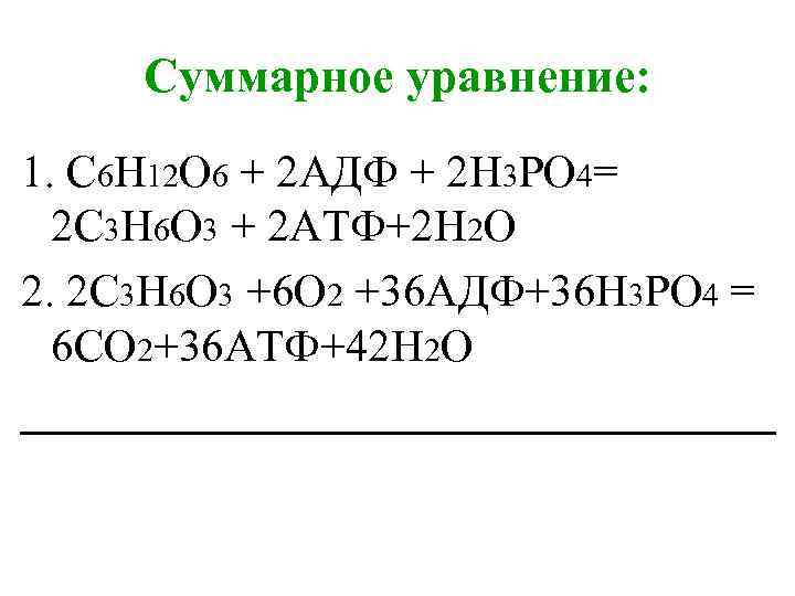 Суммарное уравнение: 1. С 6 Н 12 О 6 + 2 АДФ + 2
