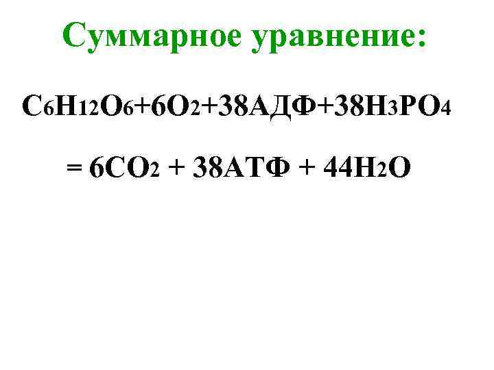 Суммарное уравнение: С 6 Н 12 О 6+6 О 2+38 АДФ+38 Н 3 РО