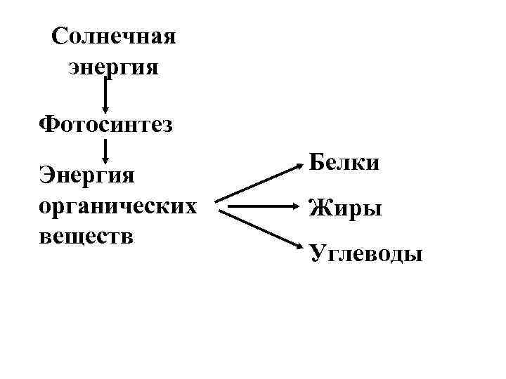 Солнечная энергия Фотосинтез Энергия органических веществ Белки Жиры Углеводы 