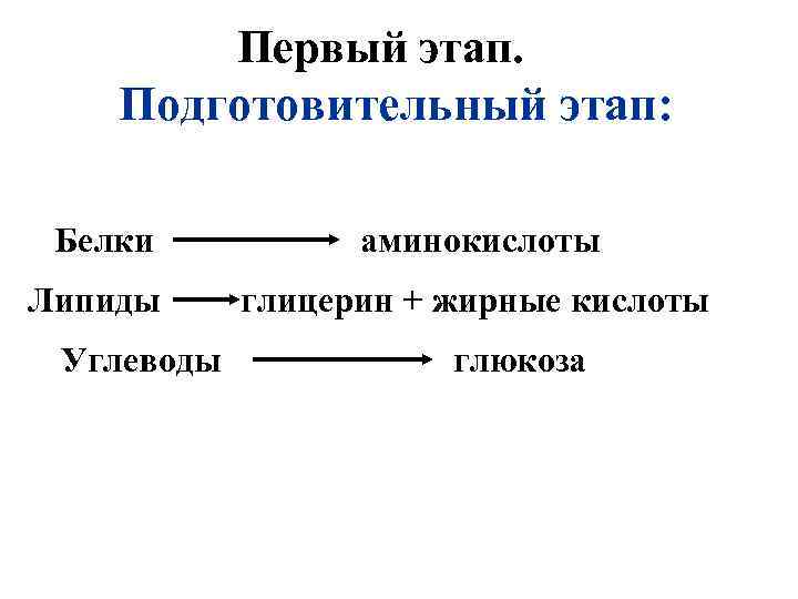 Первый этап. Подготовительный этап: Белки аминокислоты Липиды глицерин + жирные кислоты Углеводы глюкоза 