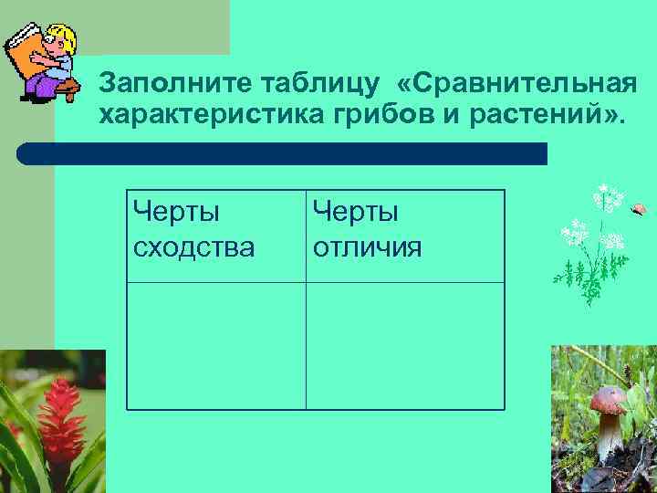  Заполните таблицу «Сравнительная характеристика грибов и растений» . Черты сходства Черты отличия 