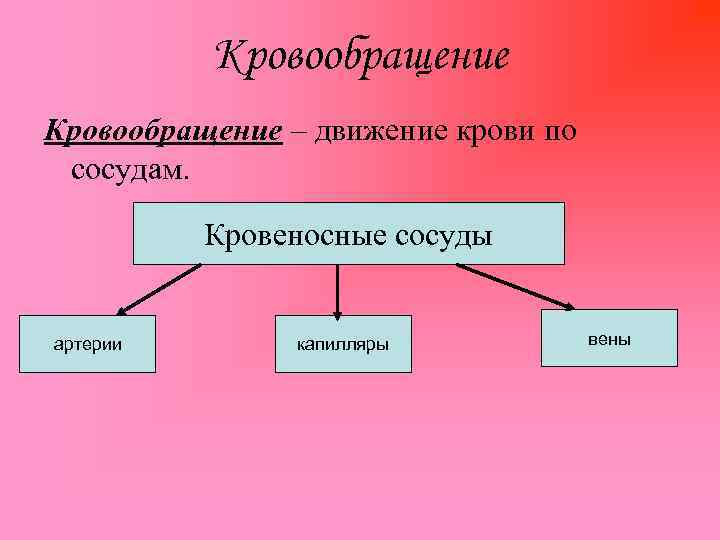 Кровообращение – движение крови по сосудам. Кровеносные сосуды артерии капилляры вены 
