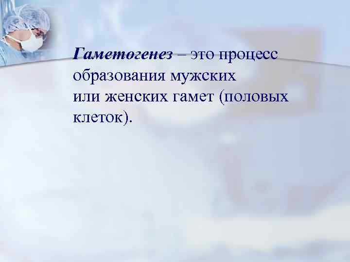 Гаметогенез – это процесс образования мужских или женских гамет (половых клеток). 