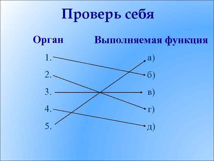 Проверь себя Орган Выполняемая функция 1. а) 2. б) 3. в) 4. г) 5.