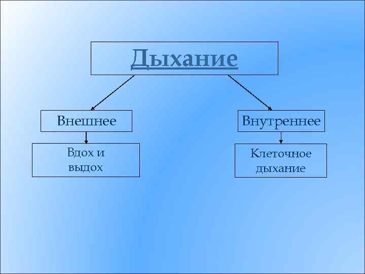 Дыхание Внешнее Внутреннее Вдох и выдох Клеточное дыхание 