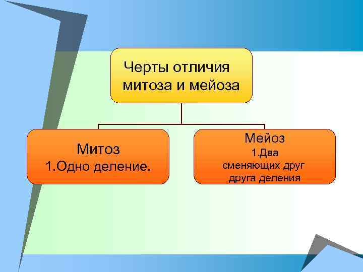 Черты отличия митоза и мейоза Митоз 1. Одно деление. Мейоз 1. Два сменяющих друга