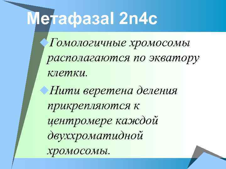 Метафаза. I 2 n 4 c u. Гомологичные хромосомы располагаются по экватору клетки. u.