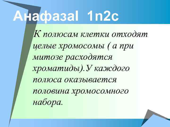 Анафаза. I 1 n 2 c К полюсам клетки отходят целые хромосомы ( а