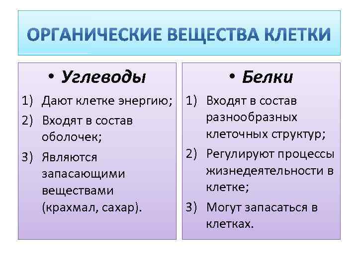  • Углеводы • Белки 1) Дают клетке энергию; 1) Входят в состав разнообразных