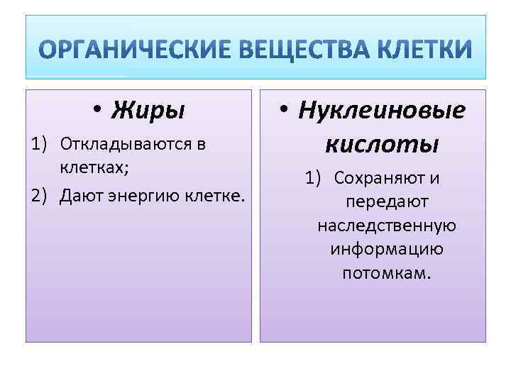 Клетка: миниатюрная природная лаборатория