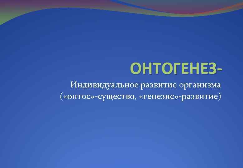 ОНТОГЕНЕЗИндивидуальное развитие организма ( «онтос» -существо, «генезис» -развитие) 