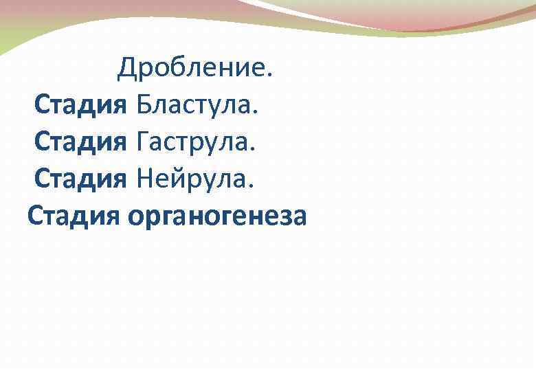  Дробление. Стадия Бластула. Стадия Гаструла. Стадия Нейрула. Стадия органогенеза 