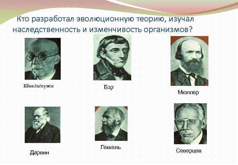  Кто разработал эволюционную теорию, изучал наследственность и изменчивость организмов? Шмальгаузен Дарвин Бэр Геккель