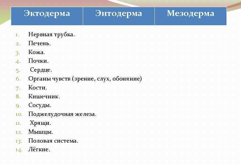 Эктодерма 1. 2. 3. 4. 5. 6. 7. 8. 9. 10. 11. 12. 13.