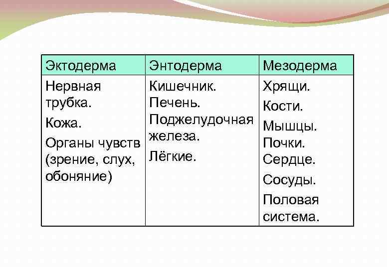Эктодерма Нервная трубка. Кожа. Органы чувств (зрение, слух, обоняние) Энтодерма Кишечник. Печень. Поджелудочная железа.