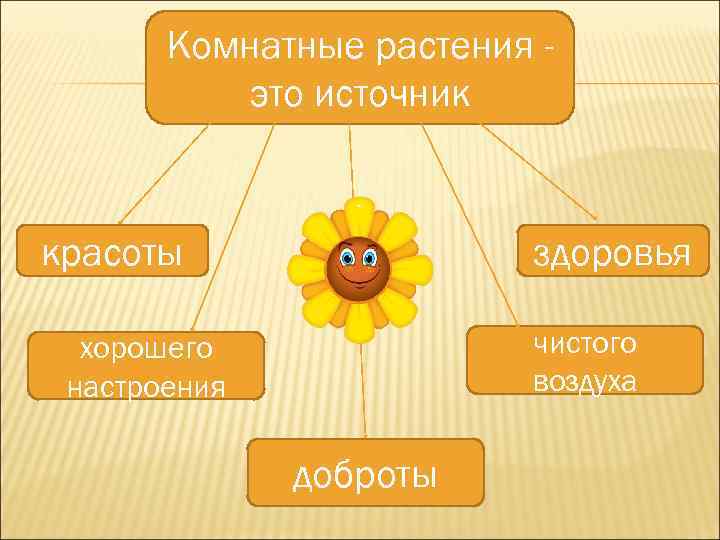 Комнатные растения это источник красоты здоровья чистого воздуха хорошего настроения доброты 