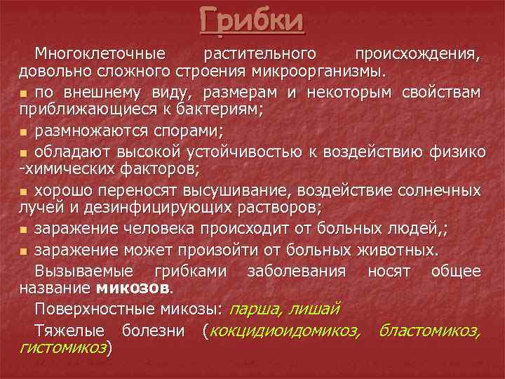 Грибки Многоклеточные растительного происхождения, довольно сложного строения микроорганизмы. n по внешнему виду, размерам и