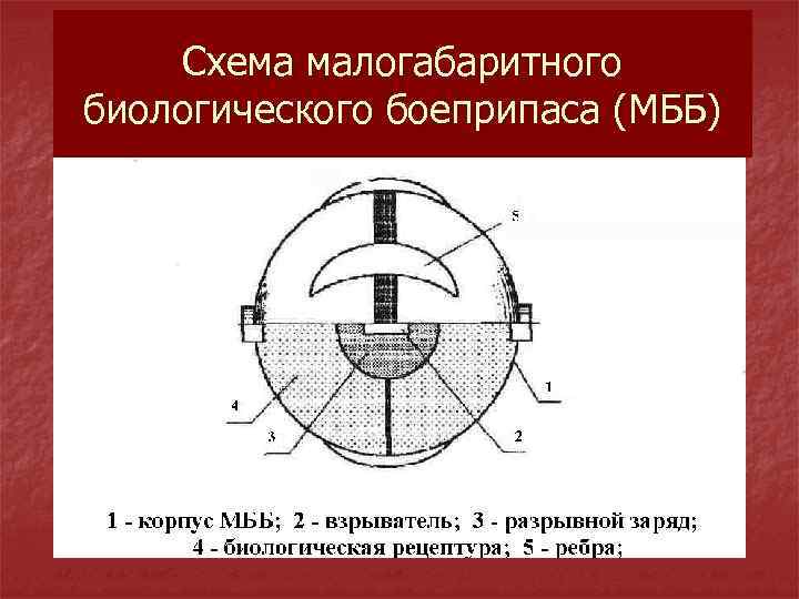 Схема малогабаритного биологического боеприпаса (МББ) 