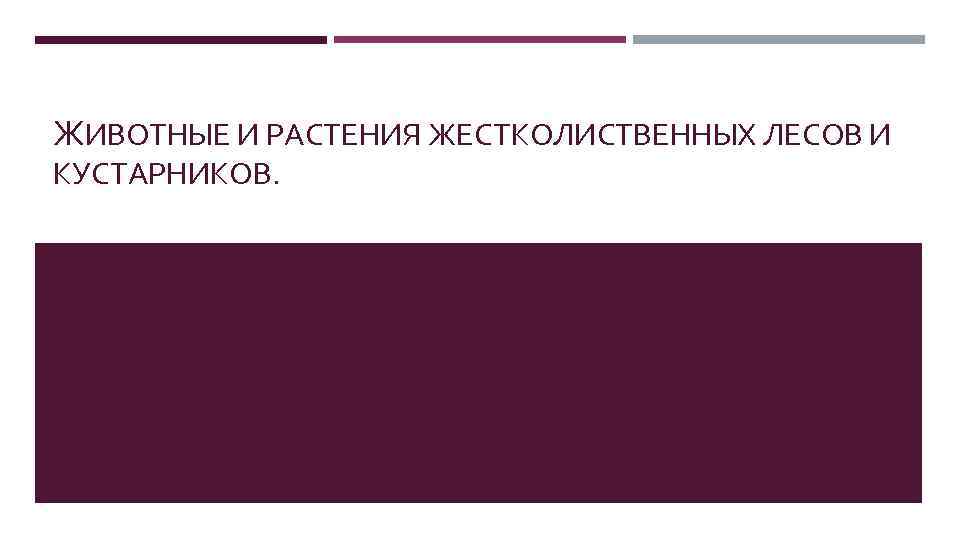 ЖИВОТНЫЕ И РАСТЕНИЯ ЖЕСТКОЛИСТВЕННЫХ ЛЕСОВ И КУСТАРНИКОВ. 