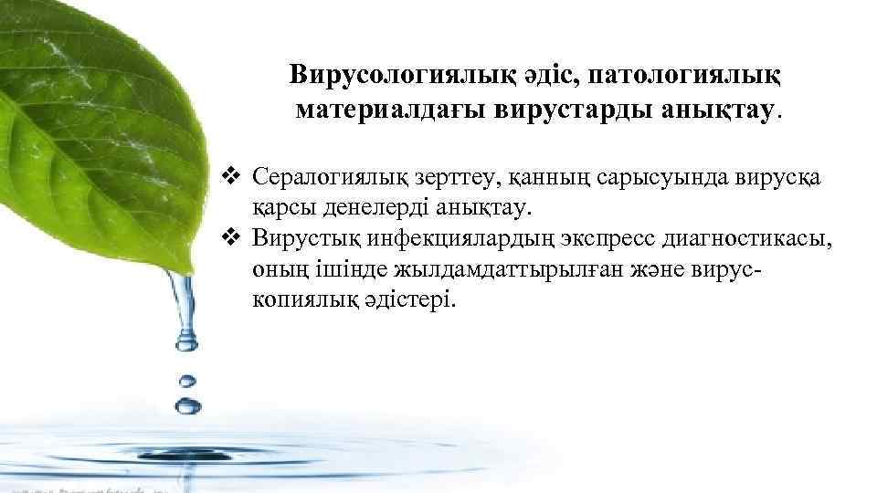 Вирусологиялық әдіс, патологиялық материалдағы вирустарды анықтау. v Сералогиялық зерттеу, қанның сарысуында вирусқа қарсы денелерді