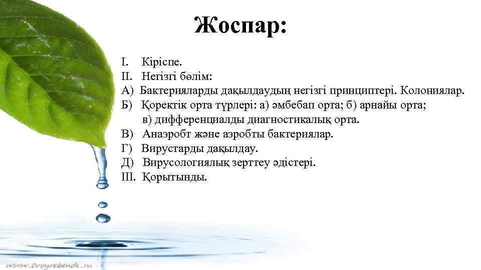 Жоспар: I. Кіріспе. II. Негізгі бөлім: А) Бактерияларды дақылдаудың негізгі принциптері. Колониялар. Б) Қоректік