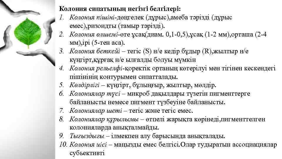 Колония сипатының негізгі белгілері: 1. Колония пішіні-дөңгелек (дұрыс), амеба тәрізді (дұрыс емес), ризоидты (тамыр