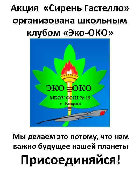 Акция «Сирень Гастелло» организована школьным клубом «Эко-ОКО» Мы делаем это потому, что нам важно