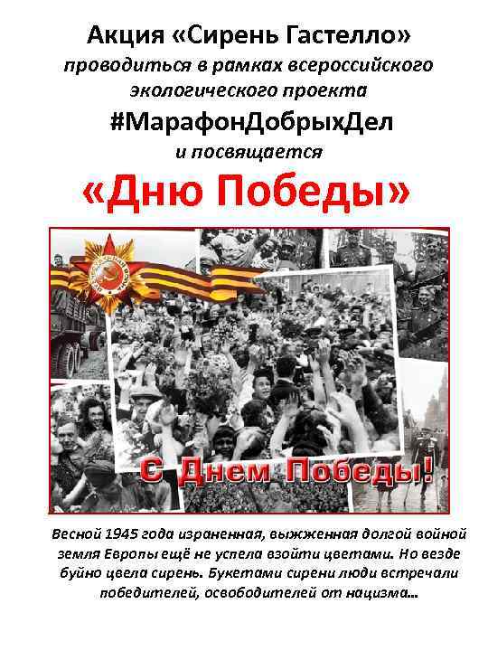 Акция «Сирень Гастелло» проводиться в рамках всероссийского экологического проекта #Марафон. Добрых. Дел и посвящается