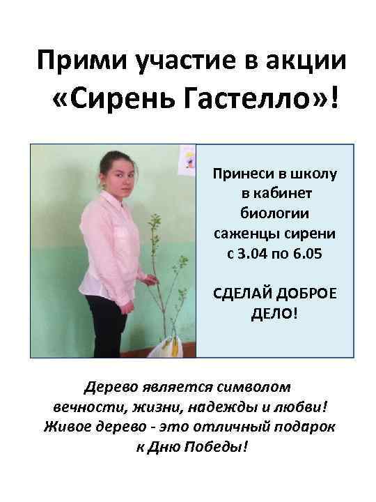 Прими участие в акции «Сирень Гастелло» ! Принеси в школу в кабинет биологии саженцы