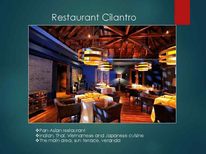 Restaurant Cilantro v. Pan-Asian restaurant v. Indian, Thai, Vietnamese and Japanese cuisine v. The