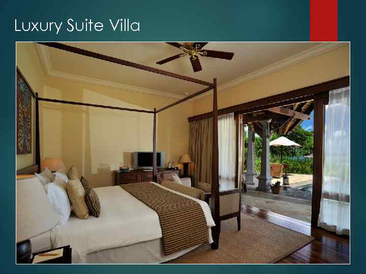 Luxury Suite Villa 