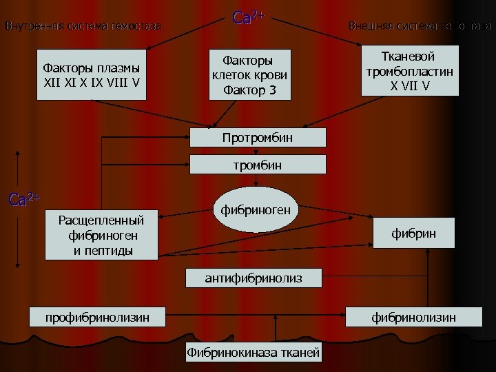 Внутренняя система гемостаза Факторы плазмы XII XI X IX VIII V Са 2+ Факторы