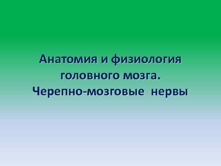 Анатомия и физиология головного мозга. Черепно-мозговые нервы 