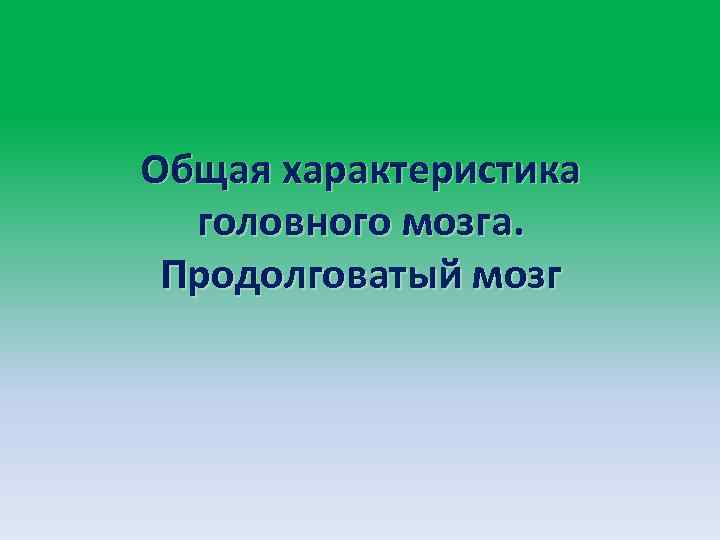 Общая характеристика головного мозга. Продолговатый мозг 