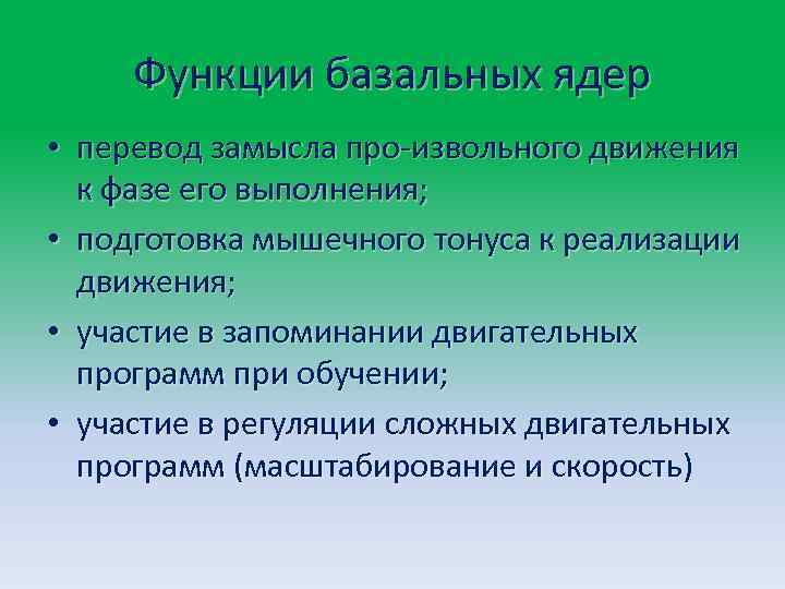 Функции базальных ядер • перевод замысла про извольного движения к фазе его выполнения; •