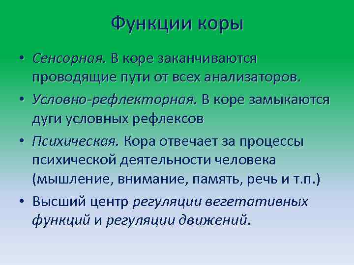 Функции коры • Сенсорная. В коре заканчиваются проводящие пути от всех анализаторов. • Условно-рефлекторная.