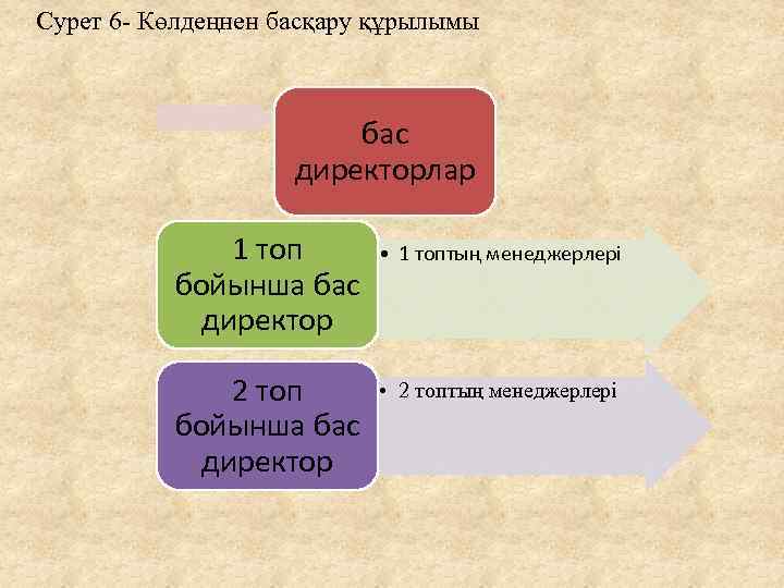 Сурет 6 - Көлдеңнен басқару құрылымы бас директорлар 1 топ бойынша бас директор •