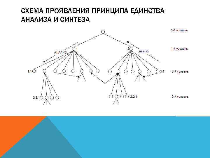 СХЕМА ПРОЯВЛЕНИЯ ПРИНЦИПА ЕДИНСТВА АНАЛИЗА И СИНТЕЗА 